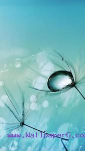Blue water drop