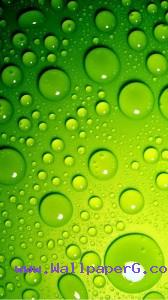 Green water drops
