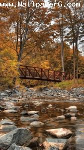 Old bridge