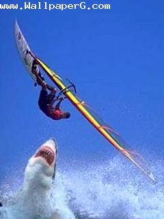 Shark fight with man funn