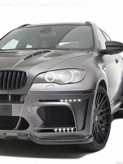 Hamann tycoon