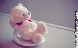 Love (29)