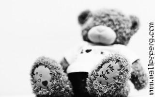 Love (57)