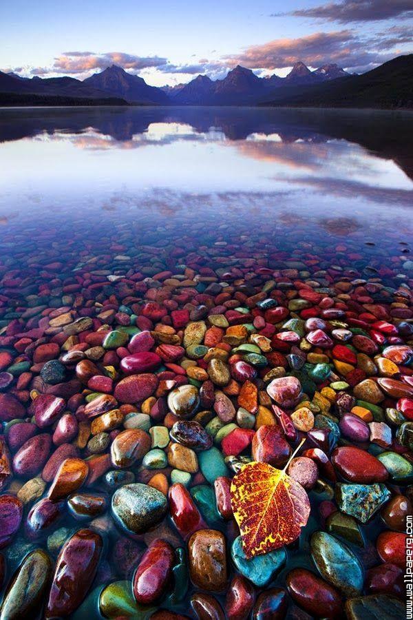 Pebble shore lake