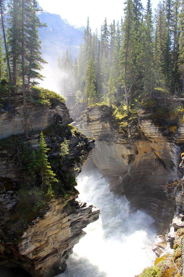 Jasper national park albe