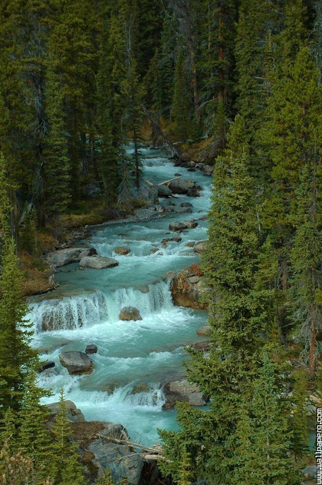 Jasper national park, alb