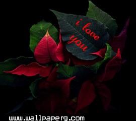 I love you(12)(2)