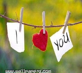 I love you(17)(1)