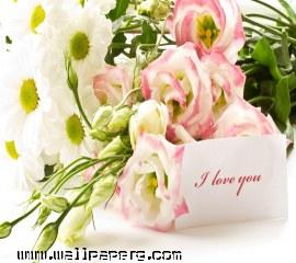 I love you(26)