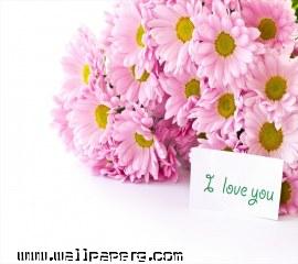 I love you(3)(1)