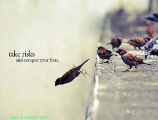 Take risks in life encouraging picture