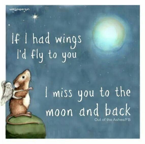 Fly to you wide wallpaper miss you