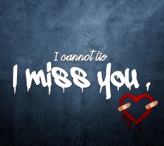 I can not lie i miss you download quote image