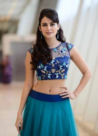 Mandana karimi biggboss 9