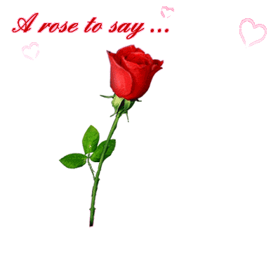 A rose to say i love you