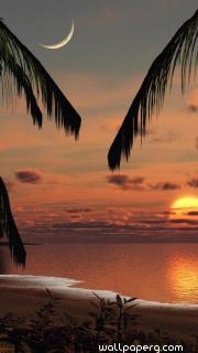 Sunset palm beach
