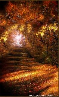 Autumn path