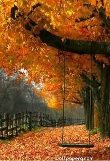 Autumn swing