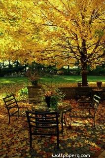 Autumn leaves and sitting area