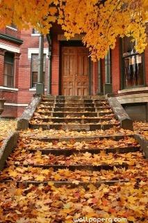 House at the time of autumn