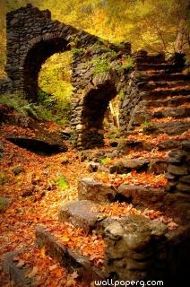 Old stairs with the season autumn