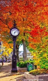 Clock and autumn