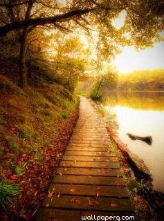 Wooden path at the time of autumn