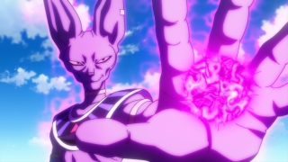 Beerus the destroyer dbz