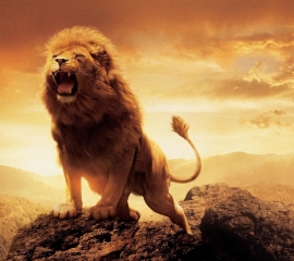 Aslan lion