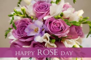 Rose day wishing quote image