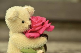 Teddy bear with rose
