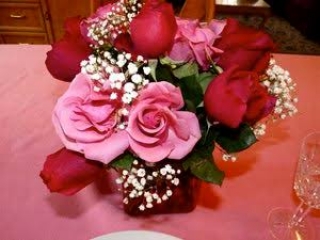 Red and pink roses