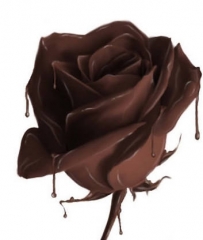 Chocolate rose image