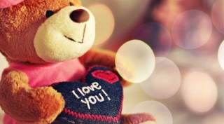10th february teddy bear 