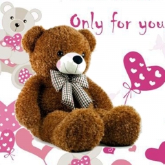 This teddy is only for yo