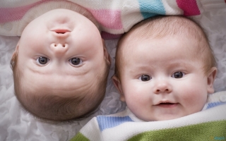 Twin baby wallpaper