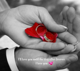 Untill the day love forever image