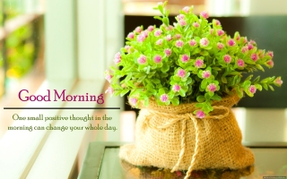 Best good morning quote flowers hd wallpaper