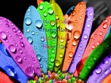 Holi greeting fo mobile phone