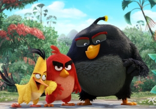 Angry birds wallpaper