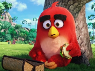 Angry birds movie creepy