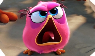 The angry birds movie pink bird