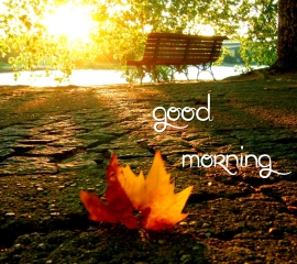 Download Good morning(7) - Good morning wallpapers- For Mobile Phone