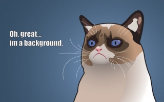 Funny cat background quote