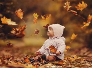 Baby with leaves of autumn hd wallpaper