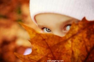 Boy wit leaf hd wallpaper