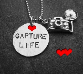 Capture life hd wallpaper