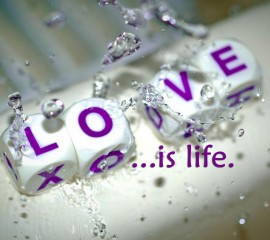 Love is life hd wallpaper for laptop