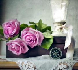 Beautiful roses hd wallpa