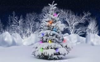 Christmas tree in ice hd wallpaper for laptop mobile